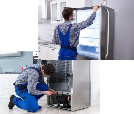 Austin Fridge Repair Expert